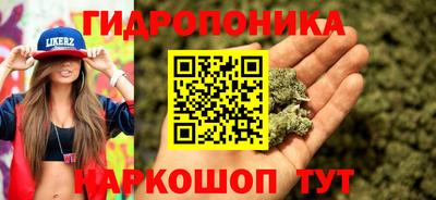 СК Чебоксары